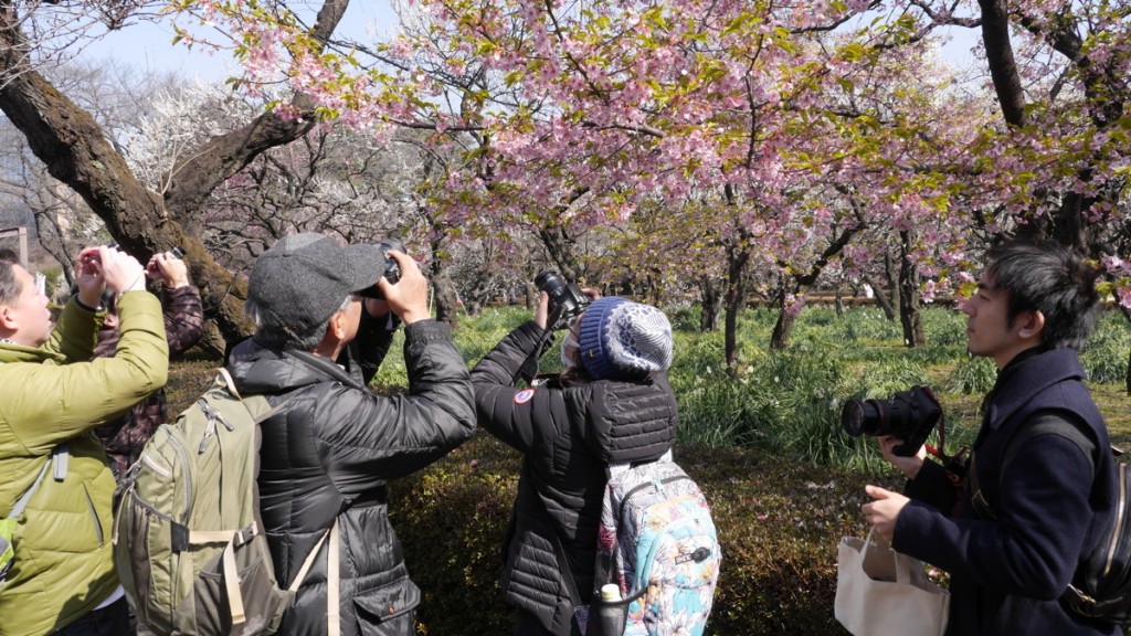 試し撮りしながら園内を廻る