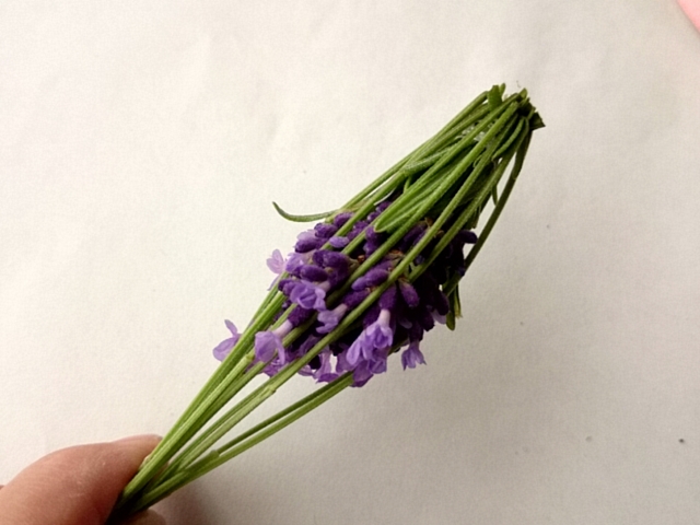 ラベンダーの茎を折って花穂を包むように。このあと、リボンを織り込んでいきます。