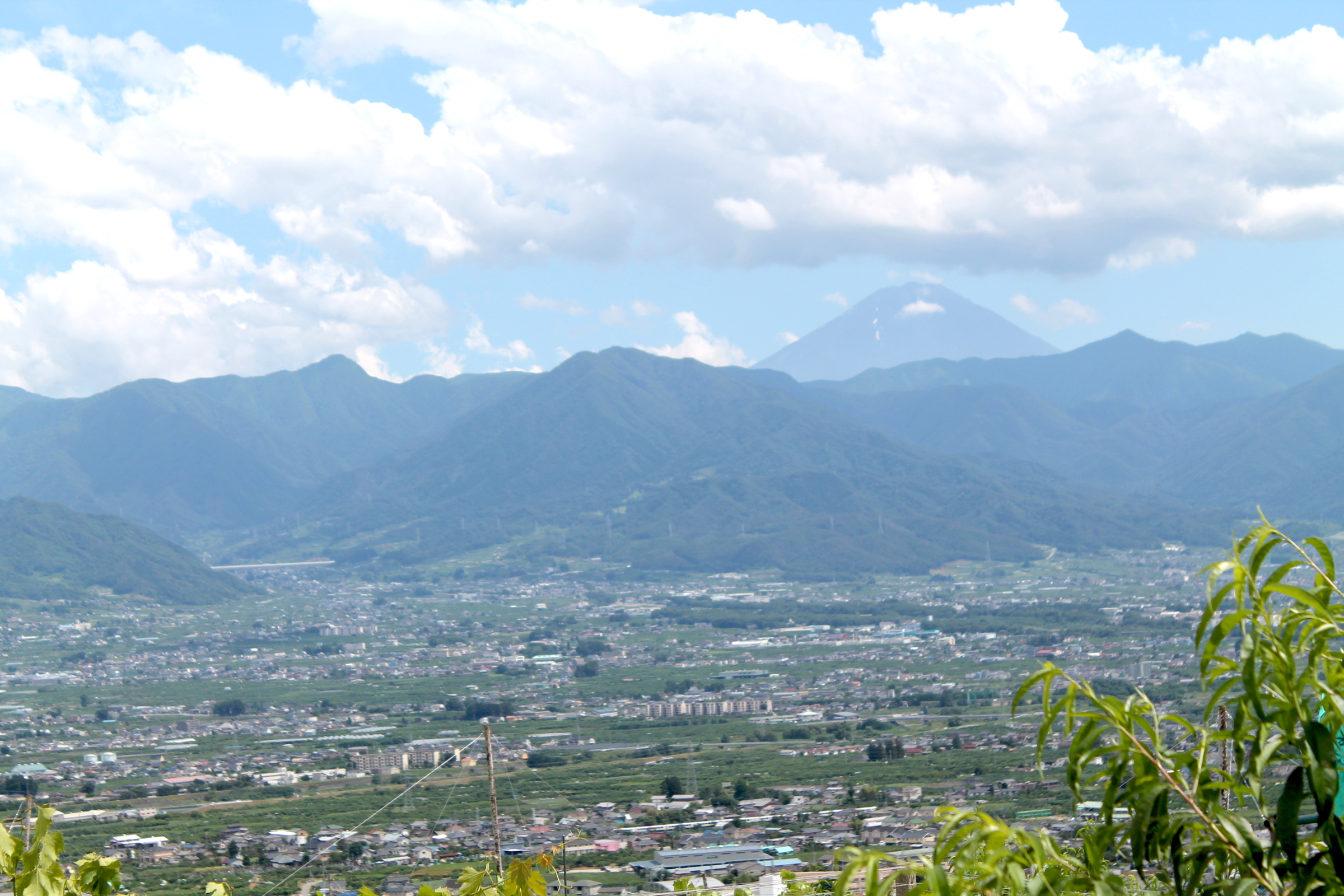 桃畑からは甲府盆地と富士山を眺めることができます